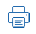 Print icon at the top right of the page